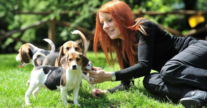 Il feudo cinofilo della destra fa ricco lo show di Brambilla
