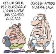 Copertina di La vignetta di Franzaroli