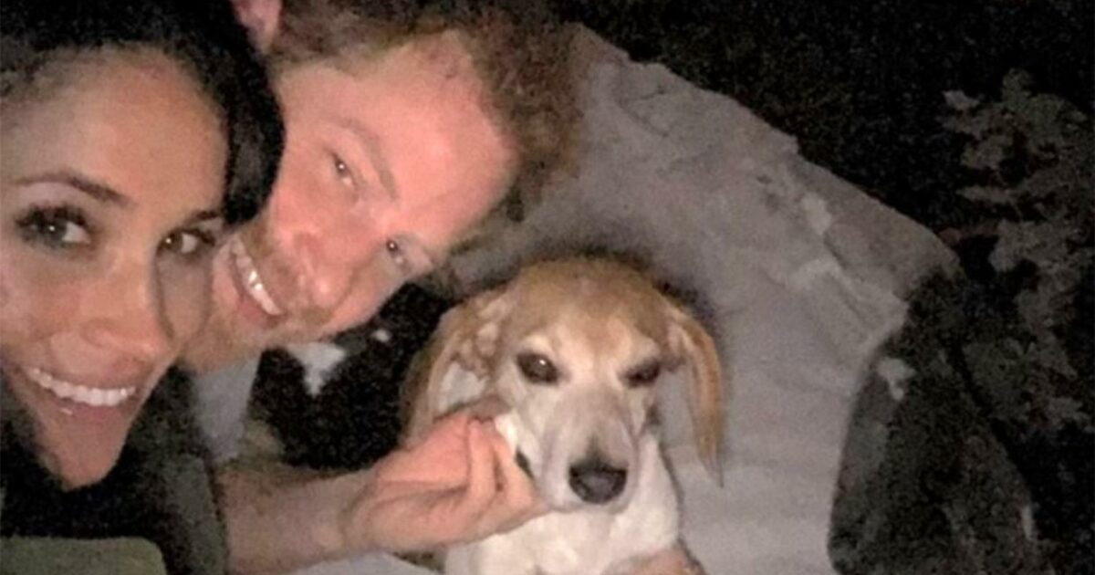 Lutto per Meghan Markle, è morto Guy: “Devastata dal dolore, ho pianto talmente tante lacrime che non riesco nemmeno a contarle”. Le foto inedite con l’amato cagnolino