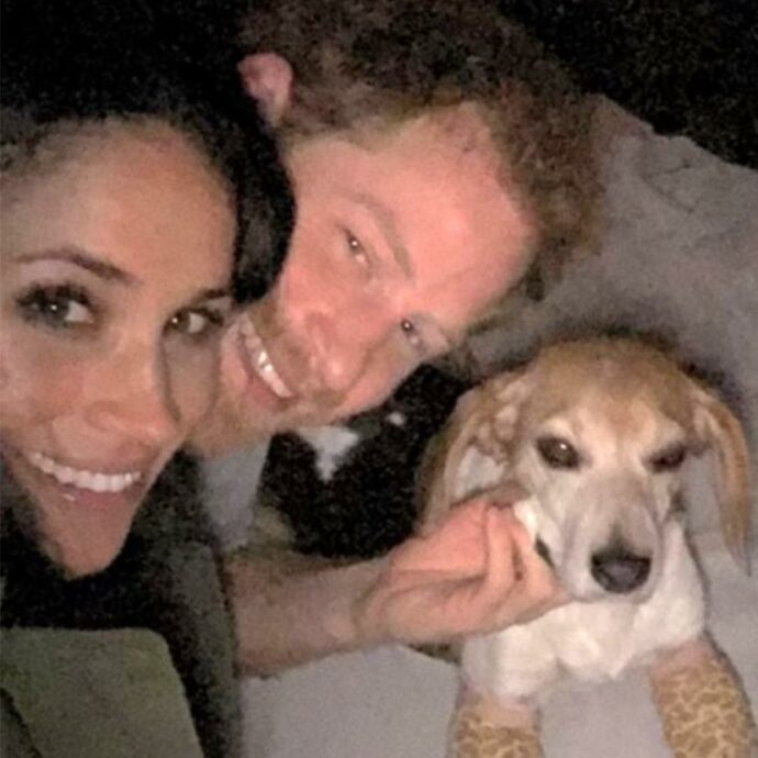 Lutto per Meghan Markle, è morto Guy: “Devastata dal dolore, ho pianto talmente tante lacrime che non riesco nemmeno a contarle”. Le foto inedite con l’amato cagnolino