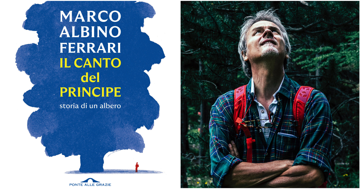 Il canto del Principe, una storia di ecologia e rinascita: nell’ultimo libro Marco Albino Ferrari parla di un albero per parlare di noi