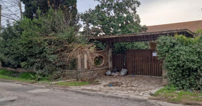 Latina, donna 30enne azzannata e uccisa da un branco di cani nel giardino di casa di un amico