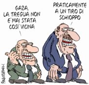 Copertina di La vignetta di Franzaroli