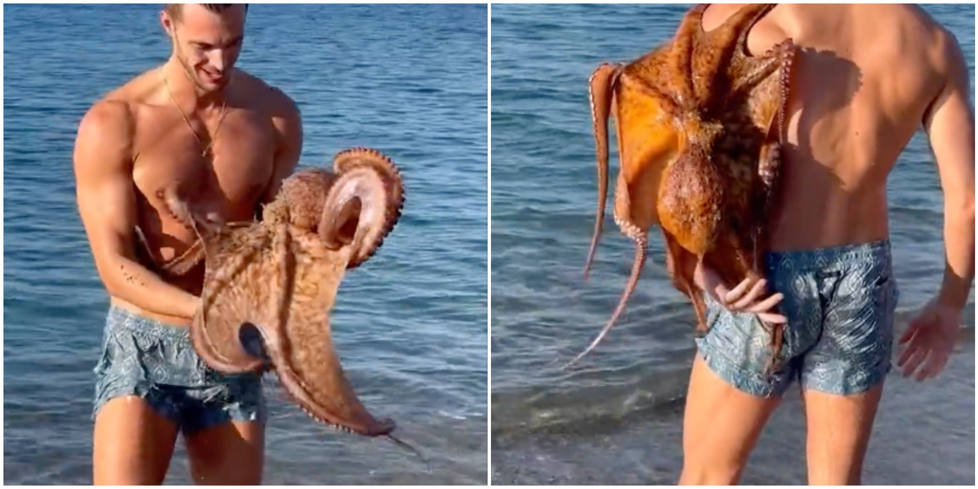 Polipo gigante attacca un modello italiano in mare mentre gira un video: prima il panico poi la gioia