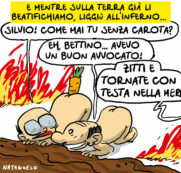 Copertina di La vignetta di Natangelo