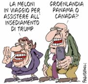 Copertina di La vignetta di Franzaroli