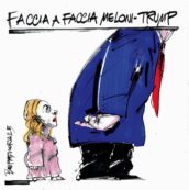 Copertina di La vignetta di Mora