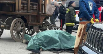 Copertina di Cavallo muore durante la festa di Sant’Antonio Abate, protettore degli animali: è scivolato mentre trainava il carro. Gli attivisti: “È uno schifo”