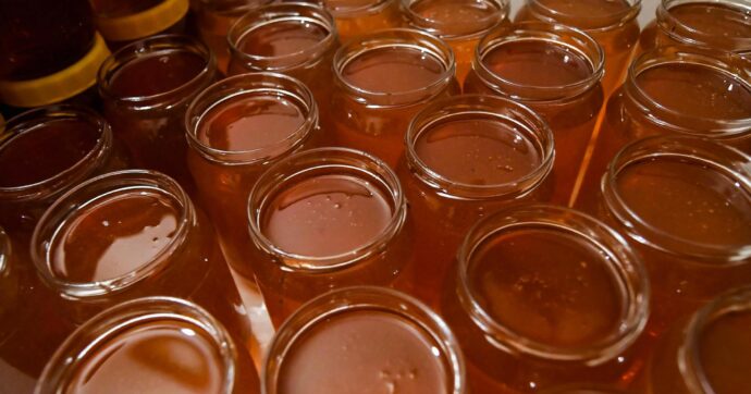 Maxi sequestro di miele afrodisiaco in Francia