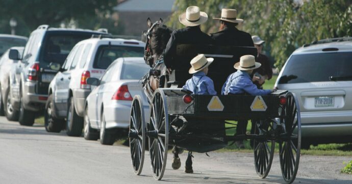 Treni ko e auto inquinanti: un cavallo potrebbe servire