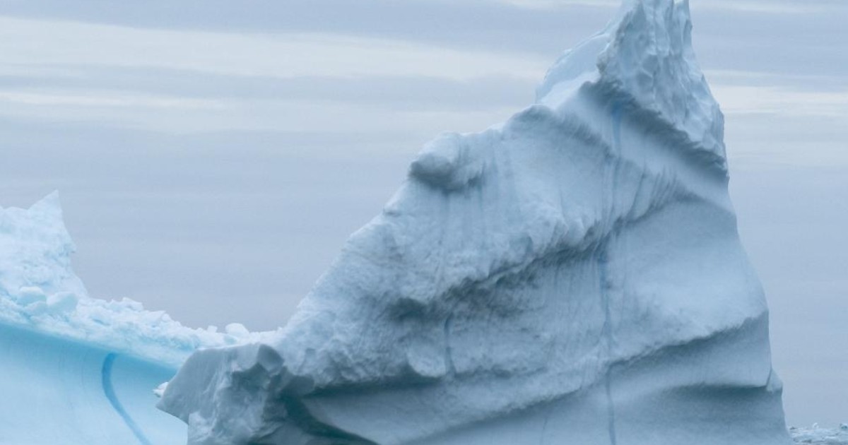 Il gigantesco iceberg A23a in rotta di collisione con la Georgia del Sud. A rischio pinguini, elefanti di mare e foche