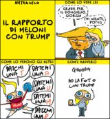 Copertina di Il rapportone privilegiatone