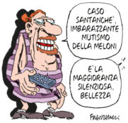 Copertina di La vignetta di Franzaroli