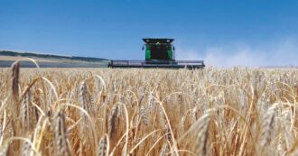 Copertina di Biodiversità. Migliaia di colture, ma  mangiano solo tre cereali
