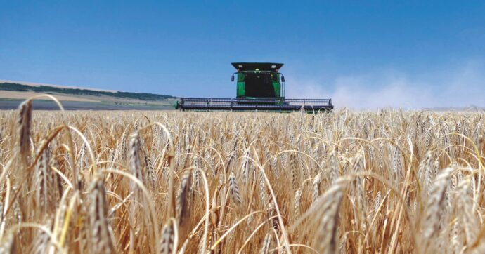 Biodiversità. Migliaia di colture, ma  mangiano solo tre cereali