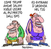 Copertina di La vignetta di Franzaroli