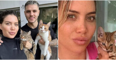 Copertina di Wanda Nara e il mistero della scomparsa degli animali domestici: “Non sappiamo dove si trovano, forse in un asilo nido. Stiamo cercando di riaverli indietro”
