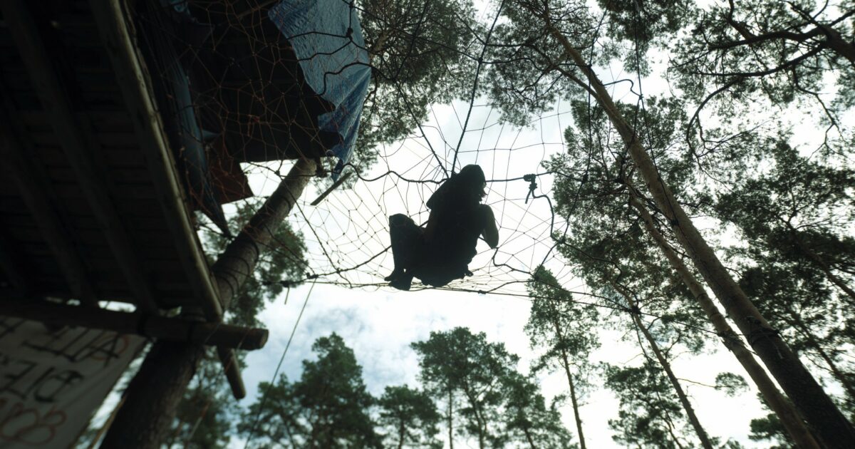Casette di ribellione: il fronte degli alberi, come nel “Barone rampante”