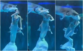 Copertina di Pesce aggredisce ‘la Sirenetta’ durante lo show afferrandole la testa con la bocca. Lei costretta a tornare in vasca – VIDEO