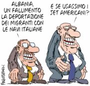 Copertina di La vignetta di Franzaroli