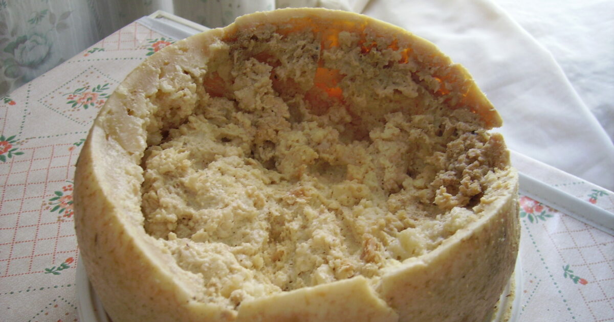Il Casu Marzu finisce nel museo dei cibi più disgustosi al mondo: insieme al formaggio sardo anche vino di feci umane e urina di mucca