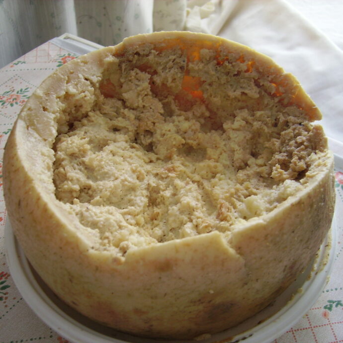 Il Casu Marzu finisce nel museo dei cibi più disgustosi al mondo: insieme al formaggio sardo anche vino di feci umane e urina di mucca