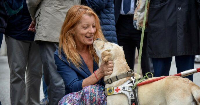 Giornata mondiale del cane: approfittiamone per riflettere, non solo per fare post sui social
