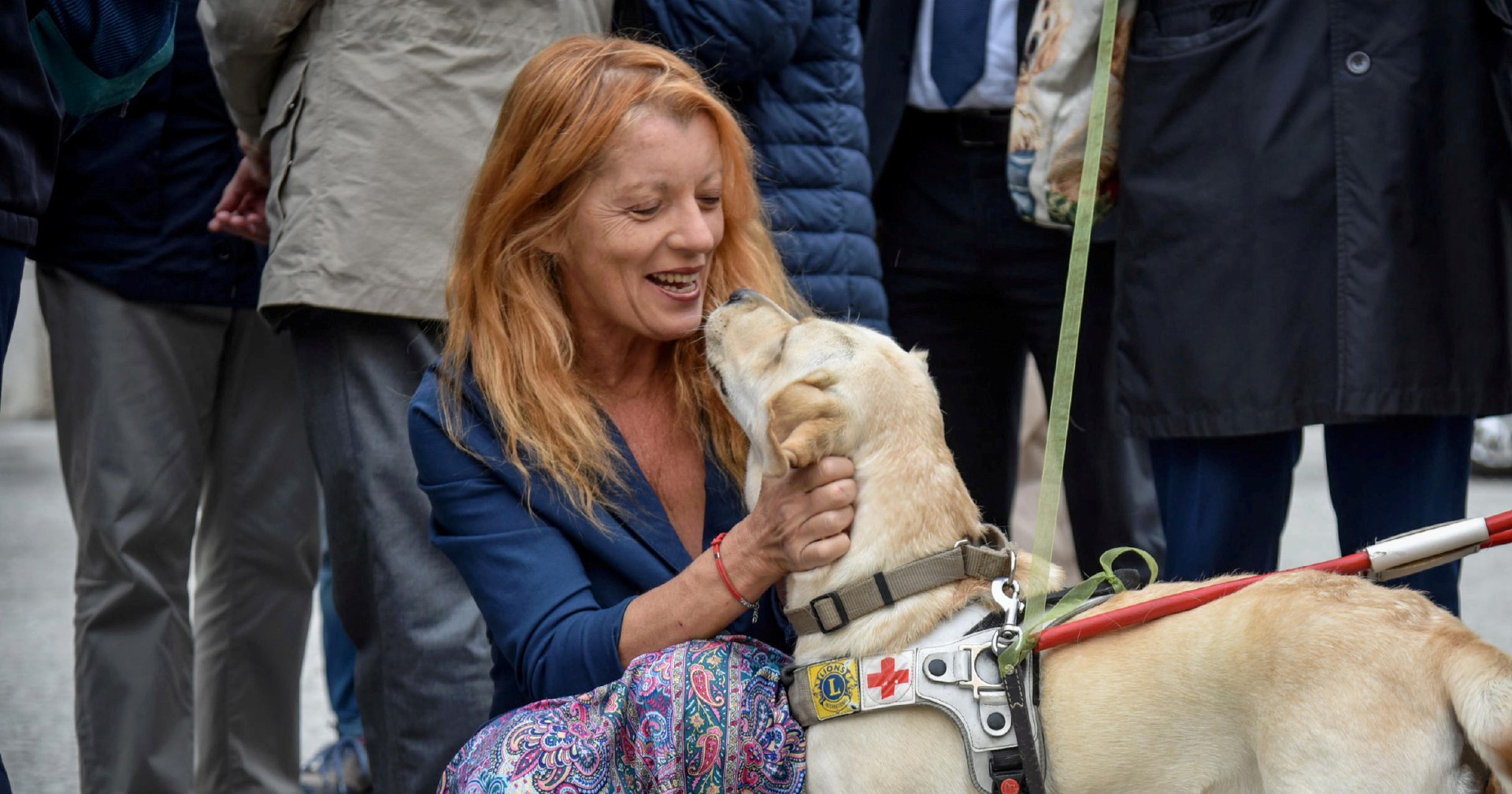 giornata mondiale del cane approfittiamone per riflettere non solo per fare post sui social