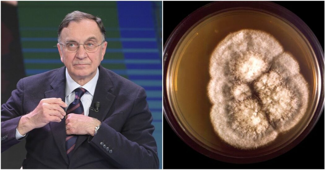 “Basta inalare le spore nell’aria per ammalarsi”: impennata di casi di “Febbre della Valle”, ecco cos’è e quali sono i sintomi