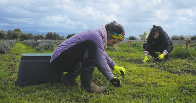 “Kore de Alcatraz”,  rinascita per le donne  vittime di violenza