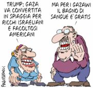 Copertina di La vignetta di Franzaroli