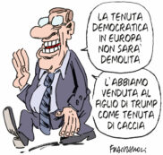 Copertina di La vignetta di Franzaroli