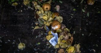 Copertina di Spreco alimentare. Il cibo come una commodity, ma i costi sociali e ambientali ricadono sui cittadini