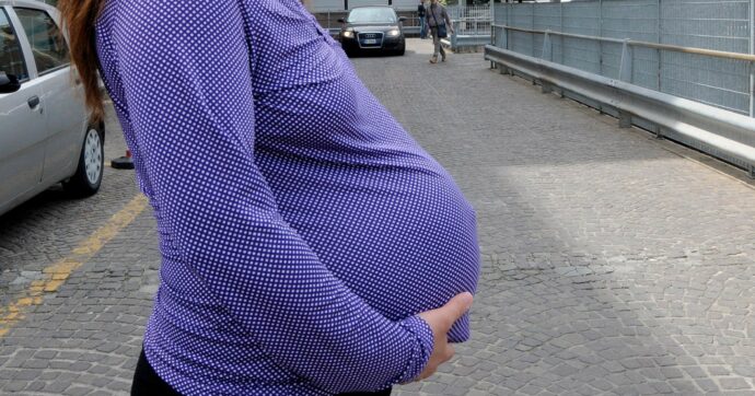 Treviso, Provincia assume le donne in gravidanza