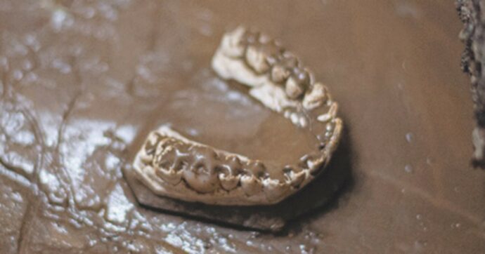 Furto in supermarket di colla per dentiere