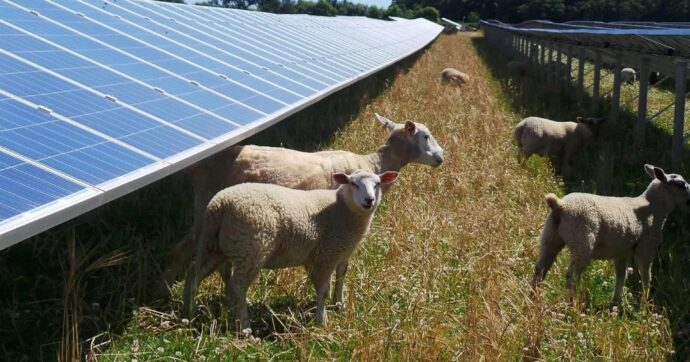 Copertina di Rinnovabili. Altro che transizione: così si specula sui terreni agricoli