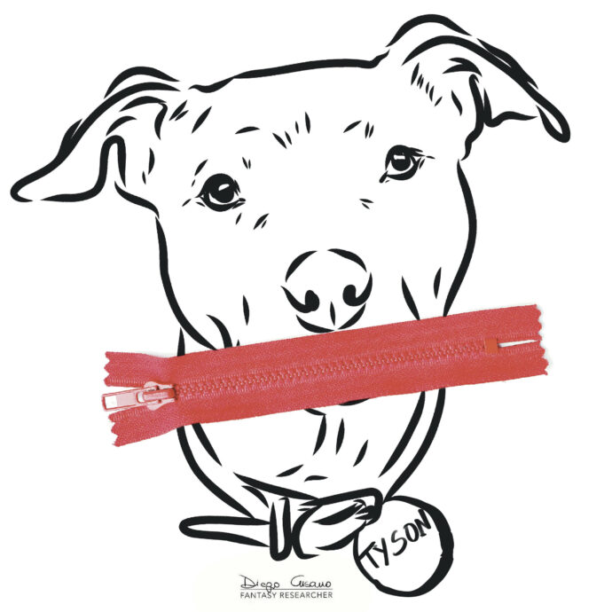 Cani killer o padroni incapaci? Ho la mia idea sulla storia che ha sconvolto tutti