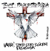 Copertina di La vignetta di Mora