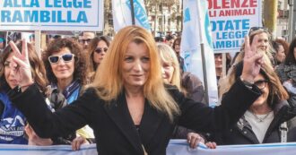 Copertina di Evasione fiscale da un milione Brambilla a processo a Lecco