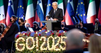 Copertina di Gorizia: la capitale europea della cultura  è senza bibliotecario