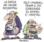 Copertina di La vignetta di Franzaroli