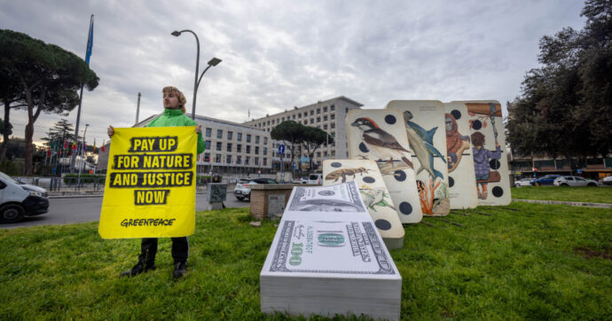 A Roma via alla Cop sulla biodiversità: l’Italia ospita il summit con gli scheletri nell’armadio su aree protette e aiuti al Sud del mondo