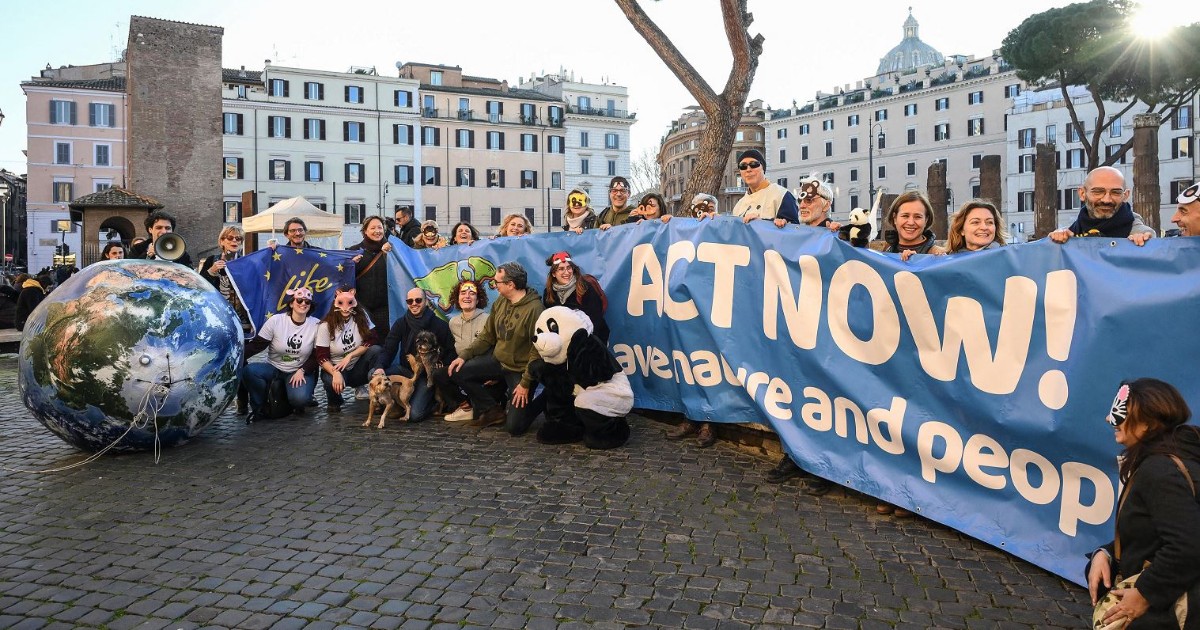 Alla Cop16 di Roma scelta la strategia per finanziare la biodiversità: su cosa è stato raggiunto l’accordo e cosa manca nel testo