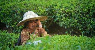Copertina di Donne&terra. Ecco come il cibo si fa strumento di emancipazione