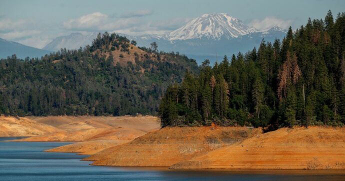 Gli alberi ci possono salvare dal riscaldamento globale? Se perdiamo le foreste perdiamo tutto
