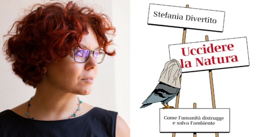 ‘Uccidere la natura’, il nuovo libro di Stefania Divertito: “Sono tempi in cui noi giornalisti dobbiamo prendere posizione, essere attivisti”