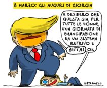 Copertina di La vignetta di Natangelo