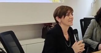 Copertina di Incidente nella laguna di Venezia: morta Anna Rita Panebianco, manager del Caffè Florian