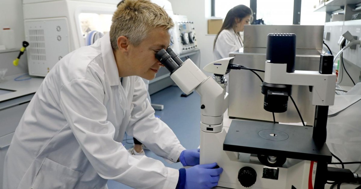A rischio i fondi europei per la ricerca L’allarme di Cnr, Infn e Licei: “Con abolizione assegni di ricerca, manca il contratto” A rischio i fondi europei per la ricerca L’allarme di Cnr, Infn e Licei: “Con abolizione assegni di ricerca, manca il contratto”
