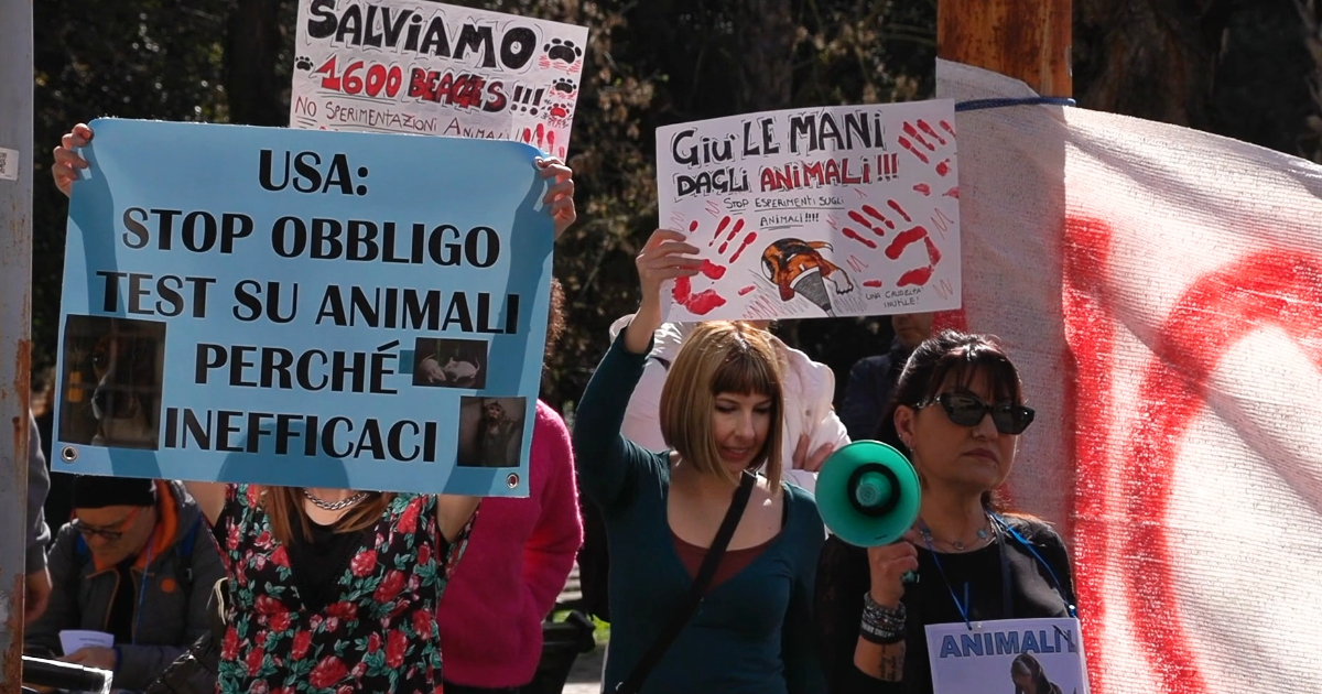 Sperimentazione animale, sit in degli attivisti di fronte al Tar: “Salviamo i 1.600 cuccioli di beagle dalla multinazionale Aptuit”